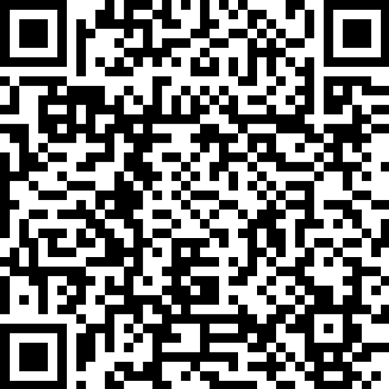 Pyzalien 2 6ft - 31.5L 5fins setup Future