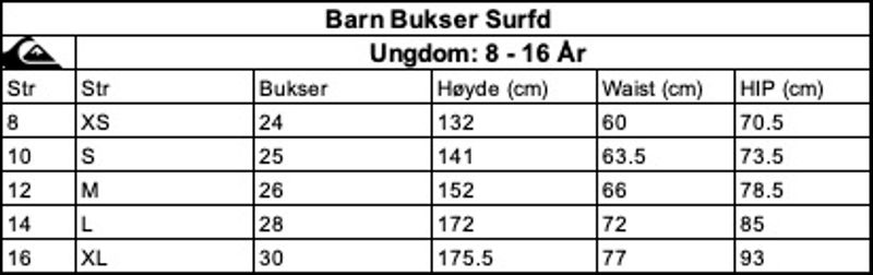 Quiksilver Everyday Panel 16