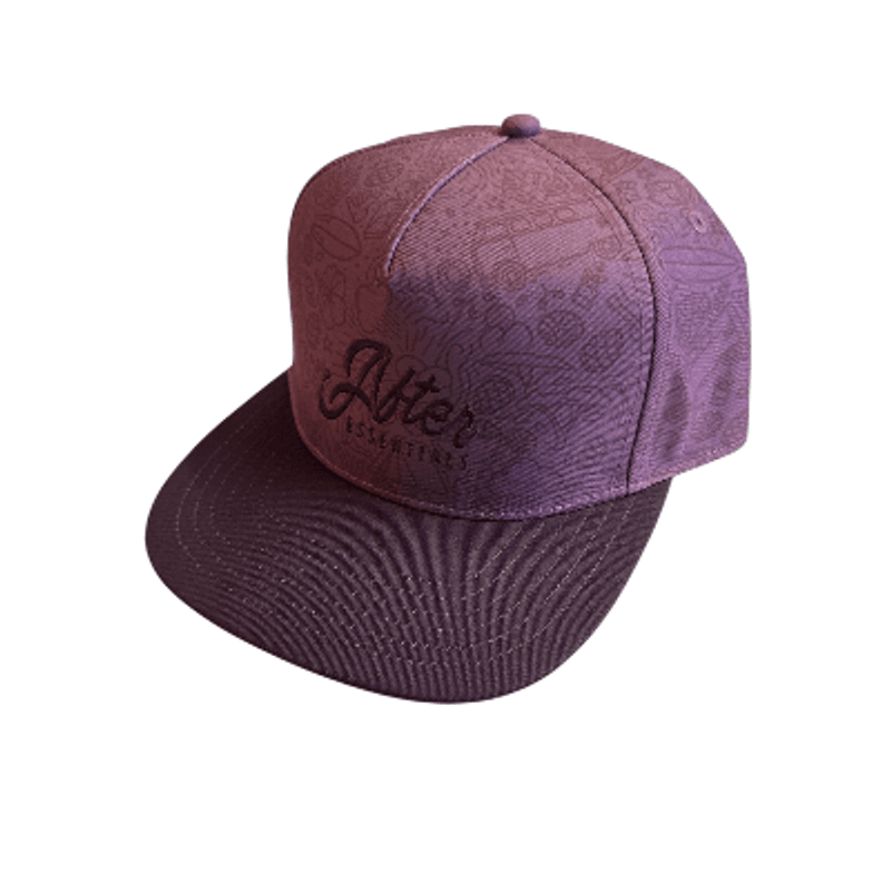 AE Baseball Cap purple